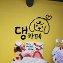 댕카페 | 경기도 시흥시"댕카페"난방 애견호텔장