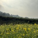제주 게하 스탭 , 제주 대정읍 5주살이 기록 ㅣ게하 스탭 지원방법, 총 비용, 대정읍맛집리스트, 후기