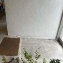 신흥교회 앞 이미지