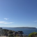 마인드병원 | 해외 시드니에서 마음이 힘들때 비대면 온라인 심리상담 나찾프 후기 (with 마인드 카페)