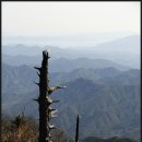 지리산천왕봉의집 이미지