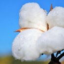 아침들녘 이미지