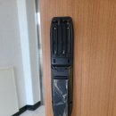 목련헤어라인 이미지