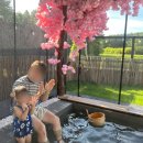 료칸향호 이미지