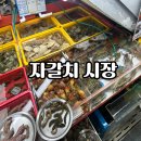 해광상회 | [남포동 자갈치시장]활새우 시세와 포장 후기/새우 소금구이/새우대가리버터구이와 아사히생맥의 콜라보