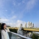 모닝글로리 | 베트남 호이안 올드타운 맛집 모닝글로리시그처 메뉴 추천 후기