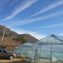 이정인농장 이미지