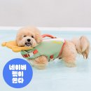 강아지 물놀이 튜브 추천｜사진 찍기 좋은 바잇미 붕붕 튜브 후기