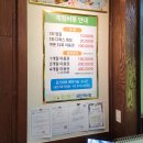 힐스템 찜질테라피 | 새해 첫날, 장인어른과 함께 경험한 힐스템 온열찜질 후기