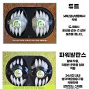 손태석 발가락운동용구 | 손태석 발가락 운동용구를 찾으셨나요?