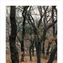 상수리공원 이미지