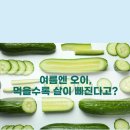 내추럴바디짐 티스토리