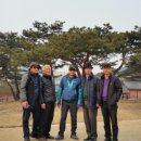 화개초등학교 이미지