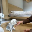 스테이옛 서로의시선 이미지