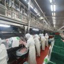 농업법인(주)사조원 이미지