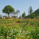 삼학도 중앙공원 이미지