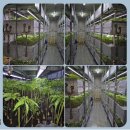 신흥2농장 이미지