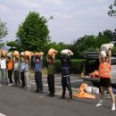 금모래가든 이미지