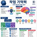 {필수적 뇌 건강 정보} "작업 기억력" 이미지