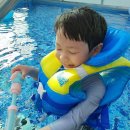 제주도키즈풀빌라빈스 이미지