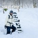 일본 여행 갈 사람~ 여기 여기 다 붙어라 | 일본 스키여행 삿포로 스키장 니세코 경비 총정리 홋카이도 여행