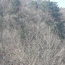 금대리828 이미지