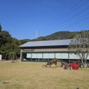 1공단로6길1L-6 | 경북 성주 브런치 카페 하우스소서 크리스마스 시작!