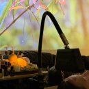 양덕동141 이미지