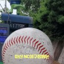 산호동 nc파크 동문) 이미지