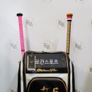 블랙배트 이미지