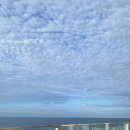 애월이막 이미지