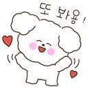 디스크독 연구소 이미지