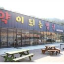 약이 되는 밥상 이야기 이미지