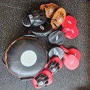 TSQ BOXING 이미지