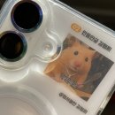 GS25(의정행복점) | GS25 브리또 추천｜김햄찌 브리또 불고기치즈·핫치킨 솔직 후기 (띠부띠부씰 있음)