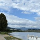 영신자전거 이미지