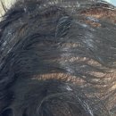 (서부권)자연을 담은 천연염색 | 천연염색제 추천 김소형 헤밀레 본초진액염색고