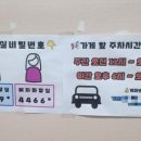 하오챠이 이미지