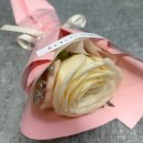 보민빌딩 | 2026년 1월 조각조각