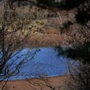 사라의 정원 이미지