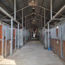 궁평목장 이미지