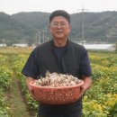 김대규농장 이미지