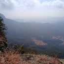 금산1리 이미지