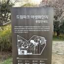 드림부분정비 | 인천 드림파크 야생화단지 벚꽃 만개🌸 지금 꼭 가야하는 서구 벚꽃 명소(4월 14일 만개 실시간)