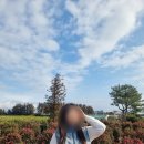 제주 필 하우스 | [제주]윗세오름 外 제주모음....