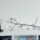 봄건축사사무소 이미지