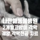 나만 애 동물병원 이미지