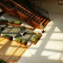 신세계 애견미용샵 이미지