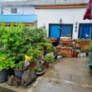 아름다운우리약국 이미지