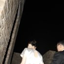 NOMA(노마) 이미지